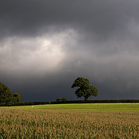 Buy canvas prints of Storm brewing over Devon by Pete Hemington