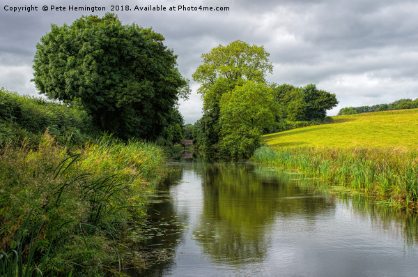 Grand Western canal near Halberton in Devon Picture Board by Pete Hemington