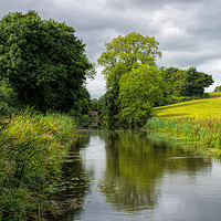 Buy canvas prints of Grand Western canal near Halberton in Devon by Pete Hemington