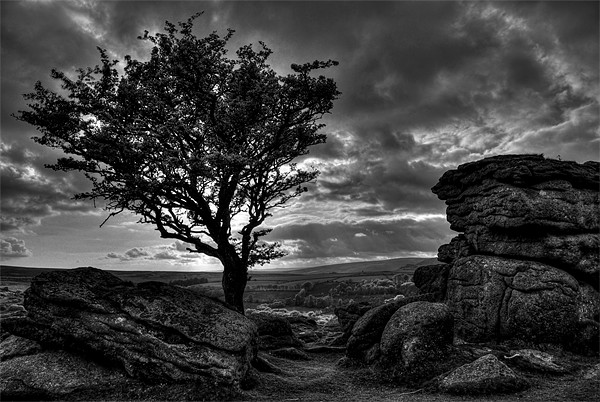 Holwell Tor on Dartmoor Picture Board by Pete Hemington