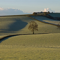 Buy canvas prints of Frosted Fields, Bradninch - Mid Devon by Pete Hemington