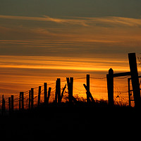 Buy canvas prints of Sunset through the fence by Pete Hemington