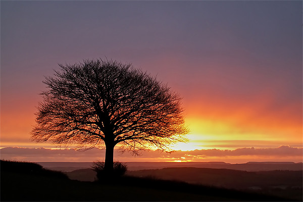 Sunrise and Sidmouth Gap Picture Board by Pete Hemington