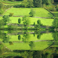 Buy canvas prints of Reflections on Rydal Water by Pete Hemington