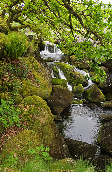 Waterfall on Dartmoor Picture Board by Pete Hemington