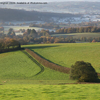 Buy canvas prints of Mid Devon in the Exe valley area by Pete Hemington