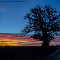 Buy canvas prints of Lone tree at sunrise by Pete Hemington