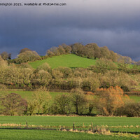Buy canvas prints of The Exe valley near Bickleigh by Pete Hemington