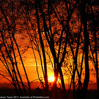 Buy canvas prints of Sunrise Through The Trees by Graham Taylor