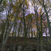 Buy canvas prints of Rocks And Autumn Trees by Darren Burroughs