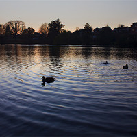 Buy canvas prints of Sunset On Diss Mere by Darren Burroughs