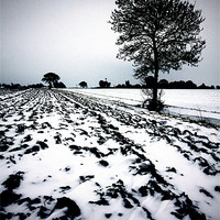 Buy canvas prints of Norfolk Winter landscape by Darren Burroughs