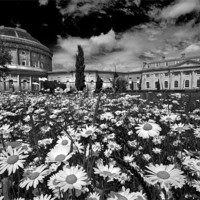 Buy canvas prints of From The Daisies. Ickworth House by Darren Burroughs