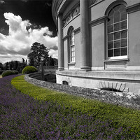 Buy canvas prints of The Garden Ickworth House by Darren Burroughs