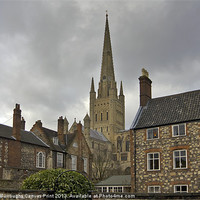 Buy canvas prints of Norwich Cathedral by Darren Burroughs