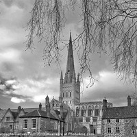 Buy canvas prints of Norwich Cathedral by Darren Burroughs