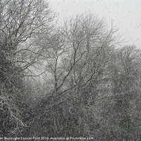 Buy canvas prints of A Snowy Day by Darren Burroughs