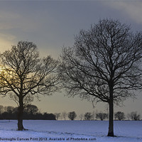 Buy canvas prints of Winter landscape by Darren Burroughs
