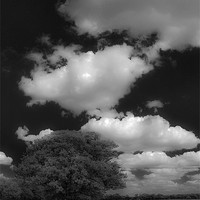 Buy canvas prints of Cloud Busting by Darren Burroughs