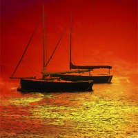 Buy canvas prints of Sea Of Fire by Darren Burroughs