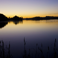 Buy canvas prints of Early October Morning on the lake at Harleston. by Darren Burroughs