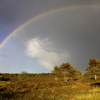 Buy canvas prints of Rainbow On Dunwich Heath by Darren Burroughs