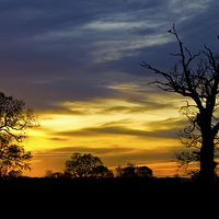 Buy canvas prints of Silhouette Sunrise by Darren Burroughs
