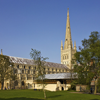 Buy canvas prints of  Norwich Cathedral by Darren Burroughs