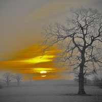 Buy canvas prints of Nuclear Sunrise  by Darren Burroughs