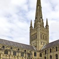 Buy canvas prints of Norwich Cathedral From the Cloisters by Darren Burroughs