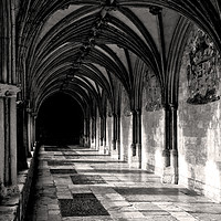Buy canvas prints of The Cloisters Norwich Cathedral by Darren Burroughs