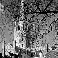 Buy canvas prints of Norwich Cathedral Through Winter Trees by Darren Burroughs