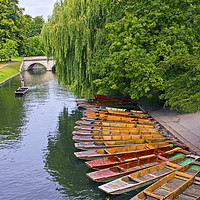 Buy canvas prints of Punting On The River Cam At Cambridge by Darren Burroughs