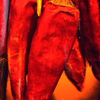 Buy canvas prints of Red Chilli art by Darren Burroughs