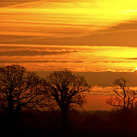 Buy canvas prints of English sunrise by Darren Burroughs