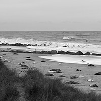 Buy canvas prints of Seals On The Beach by Darren Burroughs