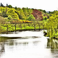 Buy canvas prints of River Derwent at Chatsworth by Darren Burroughs