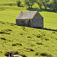 Buy canvas prints of Lazy Day In The Peak District by Darren Burroughs