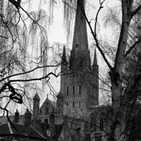 Buy canvas prints of Norwich Cathedral Winter Scene by Darren Burroughs