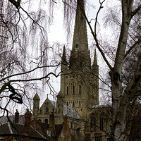 Buy canvas prints of View to Norwich Cathedral by Darren Burroughs