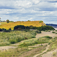 Buy canvas prints of Dunwich Beach With Coastguard Cottages by Darren Burroughs