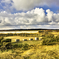 Buy canvas prints of Minsmere RSPB on the Suffolk Coast. by Darren Burroughs