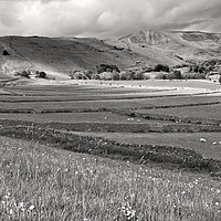 Buy canvas prints of Mam Tor in Monotone by Darren Burroughs