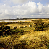 Buy canvas prints of World War Two Coastal Defences on the Suffolk Coas by Darren Burroughs