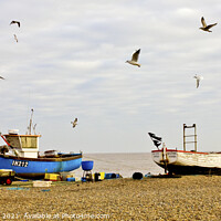 Buy canvas prints of Aldeburgh Gulls and Boats by Darren Burroughs