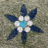 Buy canvas prints of Blue Painted Flower on Rough Concrete Stone by Mark Purches