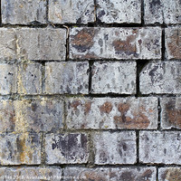 Buy canvas prints of Weathered Old Brick Wall Texture by Mark Purches