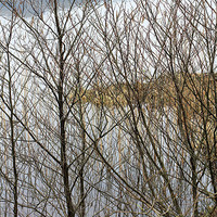 Buy canvas prints of Beautiful Lake District View Through Bare Branches by Mark Purches
