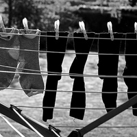 Buy canvas prints of Black White Socks on Clothes Line by Mark Purches
