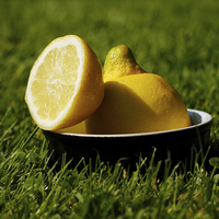 Buy canvas prints of Refreshing Sliced Lemon Outdoors on Grass by Mark Purches